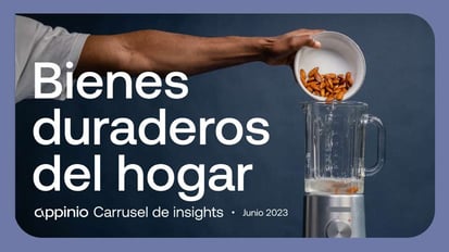 Bienes duraderos del hogar