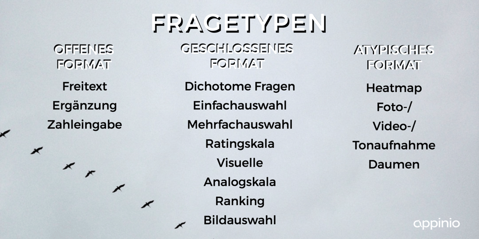 Fragetypen_Website.png