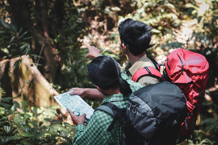 Tourists navigating through a forest