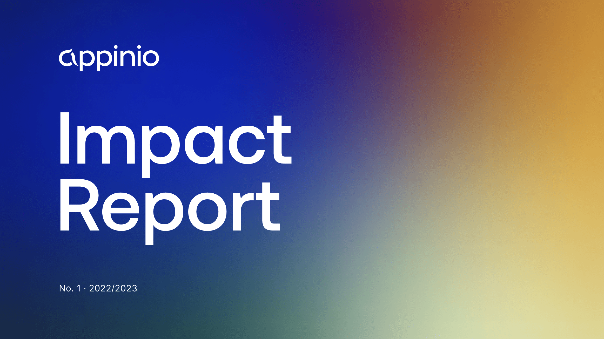 Appinio Impact Report