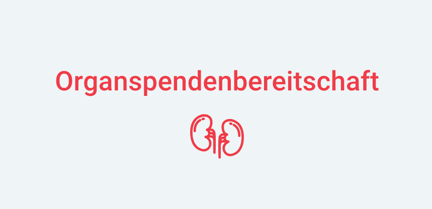Bildschirmfoto 2018-11-30 um 11.49.12-1