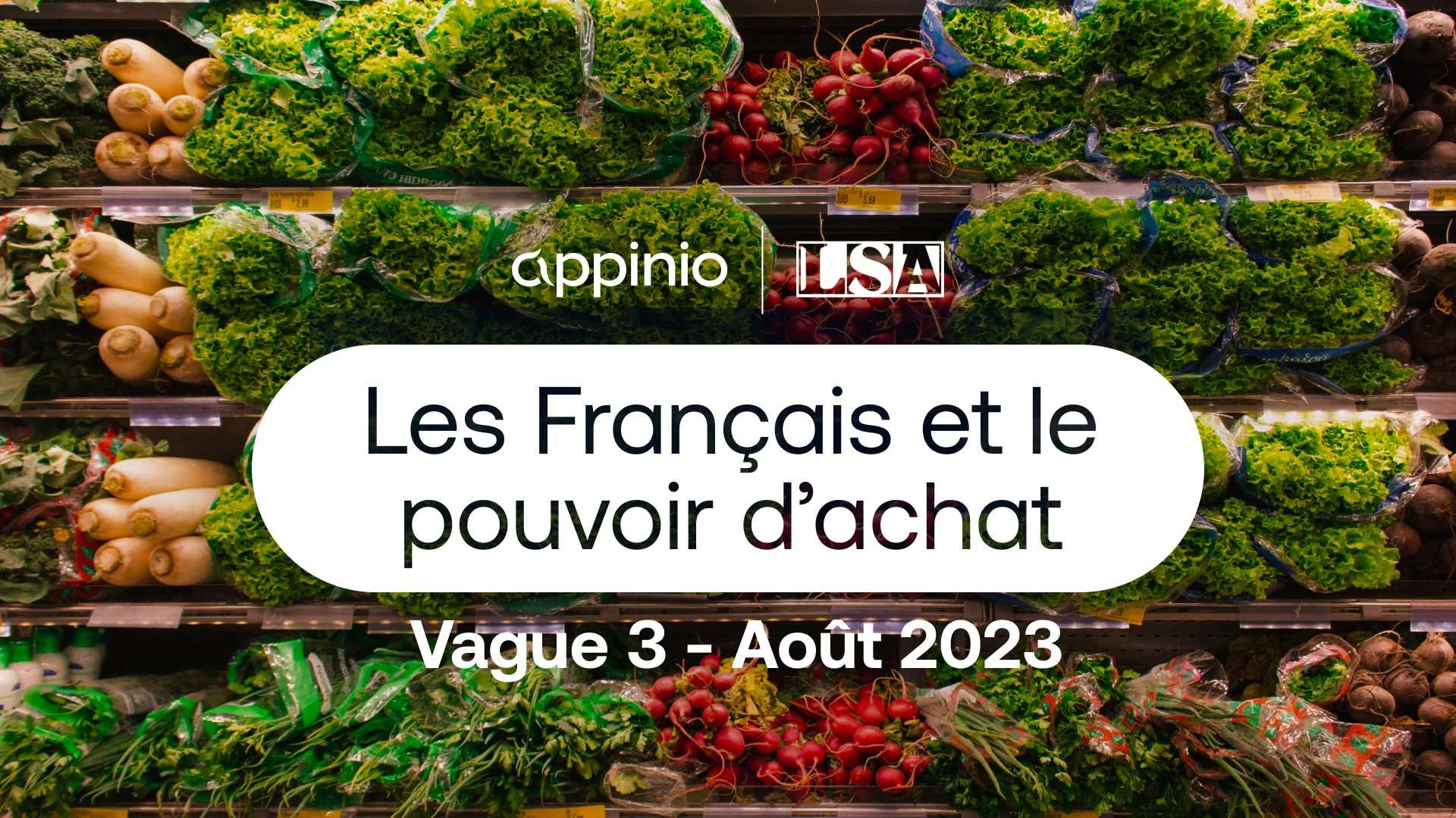 L'inflation et le pouvoir d'achat en France