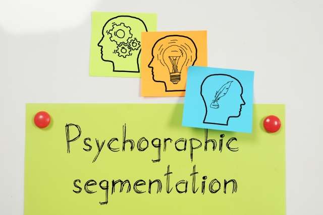 Psychographic Segmentation Guide Examples