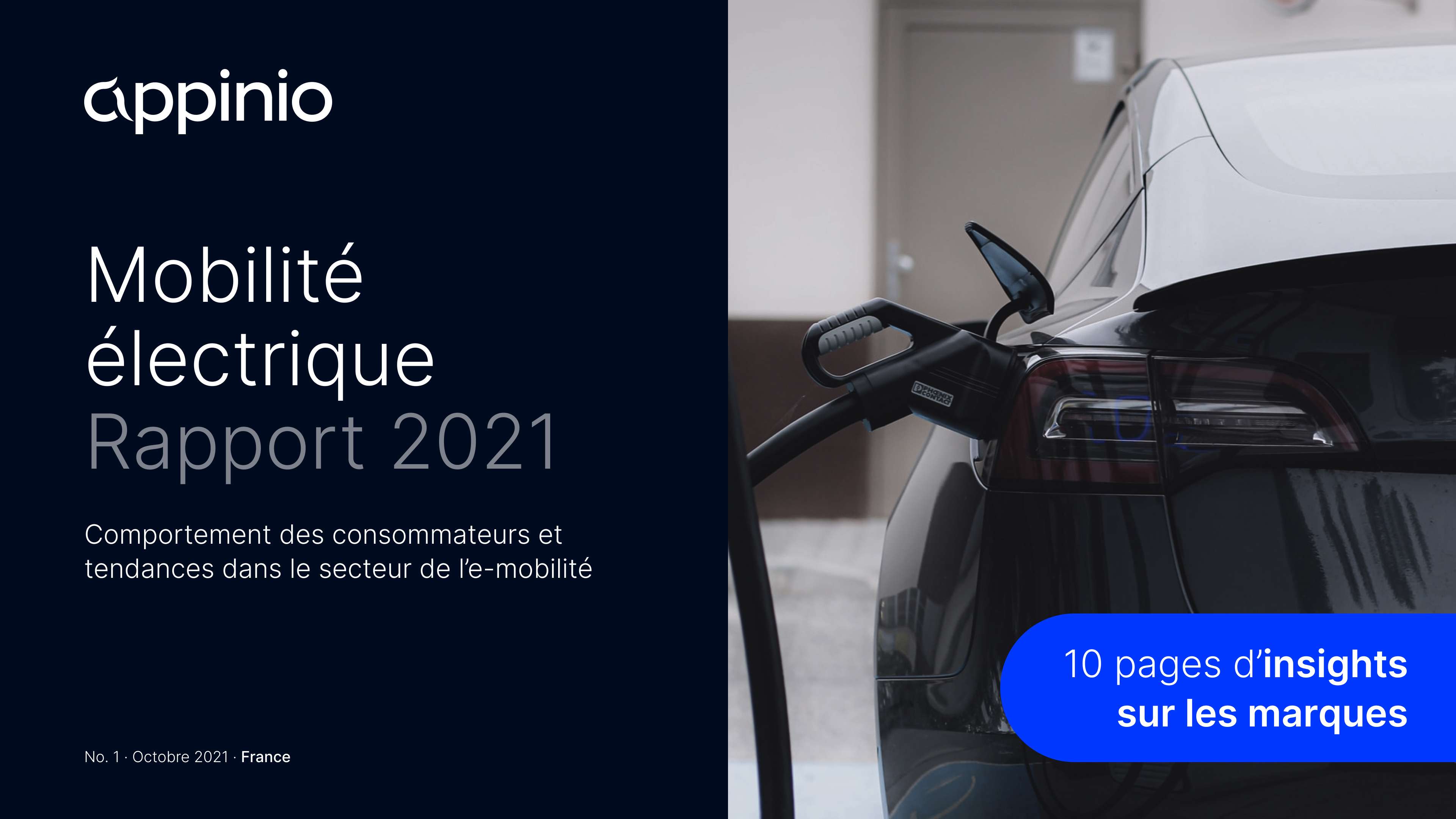 Rapport Mobilité électrique